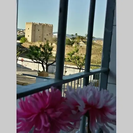 Apartamento Al-zhara, Junto Puente Romano Apartment